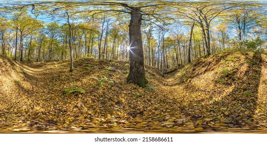full seamless spherical hdri 360 panorama in tree-covered ravine in autumn forest in sunny day in equirectangular spherical projection with footpath in forest. ready VR AR virtual reality content