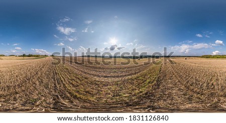 Sommer August Feld zur Erntezeit bei Sonnenuntergang Sonnenlicht