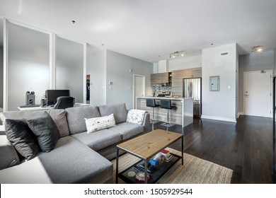 Full set for modern Canadian condominium in Montreal, interior