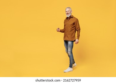 Full Size Body Length Excited Charismatic Fun Elderly Gray-haired Bearded Man 60s Years Old Wears Brown Shirt Looking Camera Smiling Go Move Stroll Isolated On Plain Yellow Background Studio Portrait