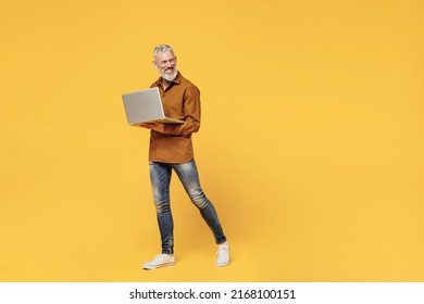 Full Size Body Length Fun Businesslike Elderly Gray-haired Bearded Man 50s Years Old Wears Brown Shirt Go Move Hold Use Work On Laptop Pc Computer Isolated On Plain Yellow Background Studio Portrait