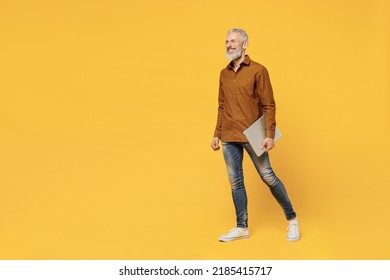 Full Size Body Length Fun Businesslike Elderly Gray-haired Bearded Man 40s Years Old Wears Brown Shirt Go Move Hold Under Hand Laptop Pc Computer Isolated On Plain Yellow Background Studio Portrait