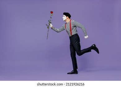 Full size body length side view profile young mime man and white face mask wears striped shirt beret run go hurry up hold rose flower isolated plain pastel light violet background studio portrait