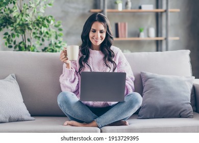 Full size photo of charming happy pretty lady sit couch hold cup look laptop good mood indoors inside house