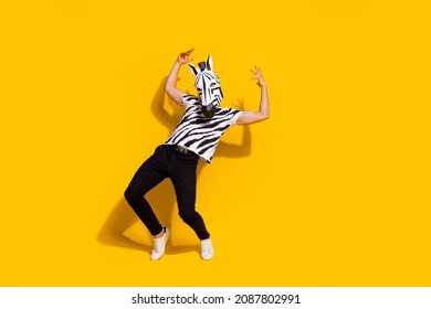 Full size photo of freak absurd guy in zebra mask rocker dance theme festive event hands-up isolated over shine yellow color background