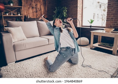 Full size photo of happy positive crazy young woman sing hold mic good mood weekend inside house home - Shutterstock ID 1964840869