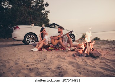 Full size photo of young couple happy positive smile sit blanket beach seaside honeymoon snack food guitar nature outdoors - Powered by Shutterstock