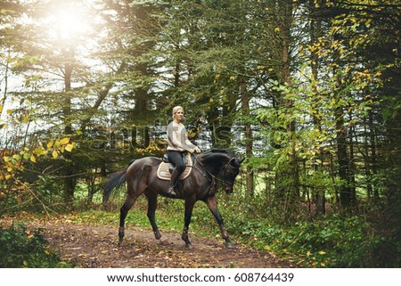 Similar – Image, Stock Photo Brown horse walking on a green field in cloudy weather