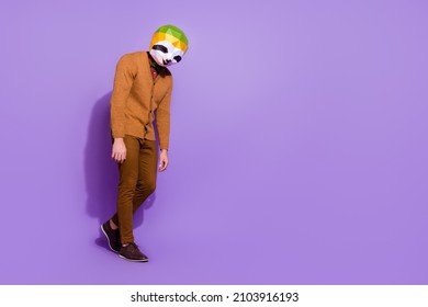 Full size profile portrait of red panda bear mask person slowly walking isolated on violet color background