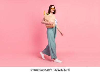 Full size profile side photo of young girl happy positive smile go walk hold bags food shopping isolated over pastel color background