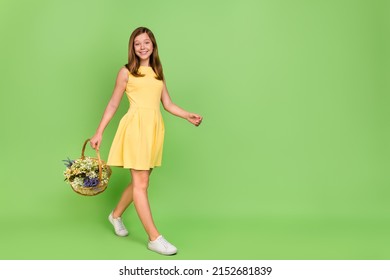 Full Size Profile Side Photo Of Young Teenage Girl Walk Hold Present Bunch Wildflowers Isolated Over Green Color Background