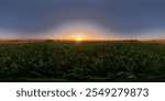 Full Spherical panorama of autumnal sunset at green agricultural field in equirectangular projection