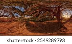 Full Spherical panorama of autumnal sunset under the tree in rural area in equirectangular projection