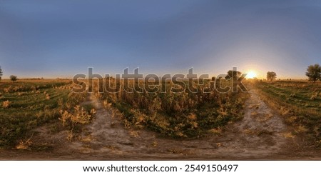 Full Spherical panorama of footpath between agricultural fields in rural area at summer sunset in equirectangular projection