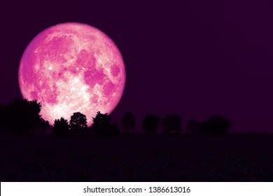 Full Strawberry Moon back silhouette trees in the field, Elements of this image furnished by NASA