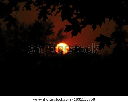 Similar – Image, Stock Photo Blood moon at total lunar eclipse, shining through trees