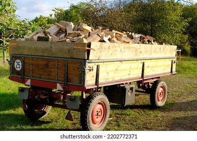 Full Tractor Trailer Of Firewood Chopped On Logs, Logging For Winter, Concept Stoking Stove, Fireplace, Seasonal Cooling In Housing, Economic Problems In Energy Sector, Shutdown Of Russian Gas