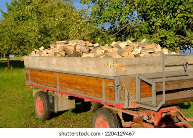 Full Tractor Trailer Of Firewood Chopped On Logs, Logging For Winter, Concept Stoking Stove, Fireplace, Seasonal Cooling In Housing, Economic Problems In Energy Sector, Shutdown Of Russian Gas