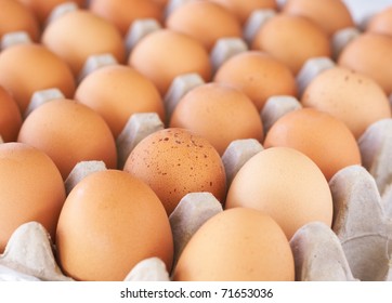Full tray of freshly laid free range organic eggs