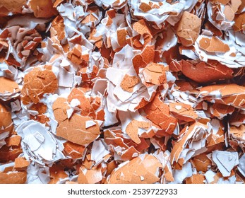 Full View of Egg Shell Waste - Powered by Shutterstock