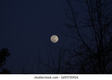 The Full Worm Moon Of March 2020