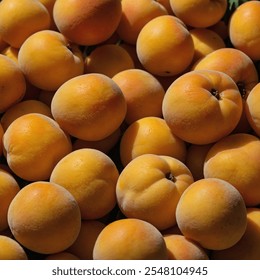 Full yellow apricots are little, round natural products with an energetic brilliant tint and a smooth, smooth skin.