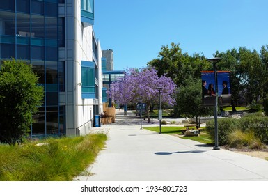 FULLERTON CALIFORNIA - 22 MAY 2020: Grounds Of The Campus Of California State University Fullerton, CSUF.