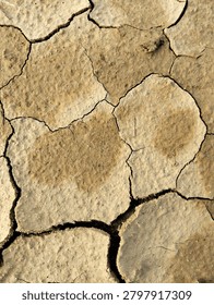 Full-frame top-down abstract texture of parched dry cracked earth under harsh sunlight. The arid clay soil surface displays intricate geometric mudcrack patterns, deep fissures, and natural warm brown tones showing the heavy impact of global warming, climate change, and severe drought. High-resolution organic backdrop ideal for ecological editorial articles, environmental awareness campaigns, and rustic grunge graphic design overlays.