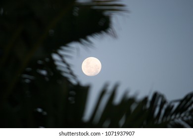 Fullmoon During The Day