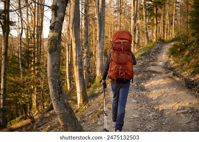 Fully equipped hiker enjoying sunrise early in the mountains. Hiker man with backpack hiking in spring forest. Hiking concept. Traveler with a backpack walk through the woods. View from the back.