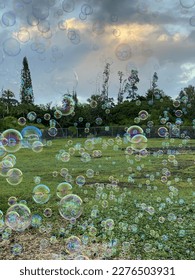 Fun bubbles floating over a green lawn