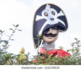 Fun Pirate Mannikin, Mannequin Behind Hedge. With Hat, Eye Patch And Parrot.