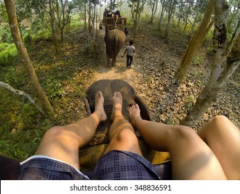 Fun Ride Off The Elephant Carriage In Indonesia