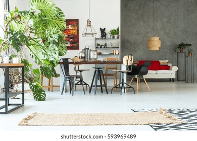 Functional apartment with dining table, sofa, chair and monstera plant