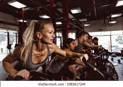 Functional training class working out - Powered by Shutterstock