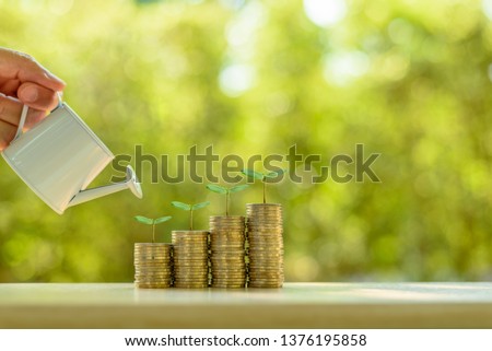 Fund investment / portfolio management for long term sustainable growth concept : Investor pours water from watering can, sprout on rows of rising coins, depicts money gain from financial investment.