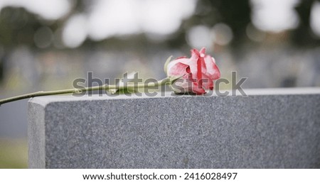 Funeral, cemetery and hands with rose on tombstone for remembrance, ceremony and memorial service. Depression, sadness and person with flower on gravestone for mourning, grief and loss in graveyard