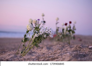 Funeral Flower, Lonely White And Red Roses And Daisy Flowers At The Beach, Water Background With Copy Space, Burial At Sea. Empty Place For A Text. Funeral Symbol And Condolence Card Concept