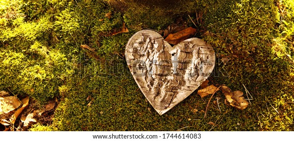 funeral Heart sympathy. panoramic image of\
wooden funeral heart shape in moss. Natural burial grave in the\
forest, woodland. Heart on grass. tree place of burial, cemetery\
and All Saints Day\
concepts