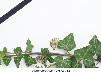 funeral notice background - Powered by Shutterstock