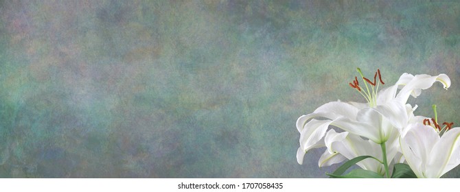 Funeral Wake Order Of Service Lily Background - White Lily Head In Bottom Right Corner Against A Wide Jade Green Stone Effect Rustic Background With Copy Space 
