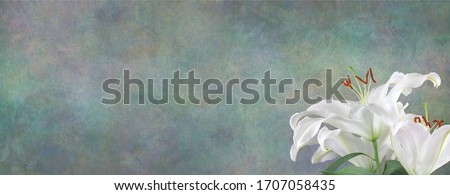 Funeral Wake Order of Service Lily Background - white lily head in bottom right corner against a wide jade green stone effect rustic background with copy space 
