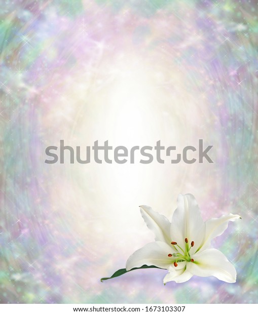 Funeral Wake Order of Service Lily Background - white\
lily head in bottom right corner against a subtle angelic ethereal\
graduated pastel coloured background with white centre for copy \
 \
           