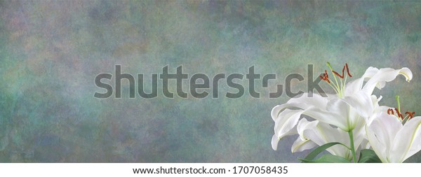 Funeral Wake Order of\
Service Lily Background - white lily head in bottom right corner\
against a wide jade green stone effect rustic background with copy\
space \
