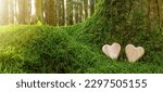 Funeral wooden Heart near a fir spruce tree. Natural burial grave in the forest woods. Wood heart on grass or moss. Tree burial, forest cemetery