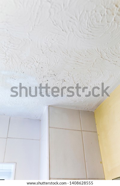 Fungal Mold On Ceiling Wall Bathroom Stock Photo Edit Now