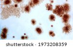 Fungal spores in the liquid. Viral bacterium in the blood.Fungal infection. Distribution and multiplication of fungi and bacteria.