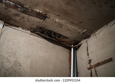 Damp In Home Stock Photos Images Photography Shutterstock