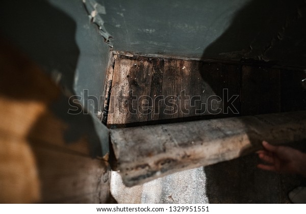 Fungus Cracks On Walls Poorly Built Stock Photo Edit Now