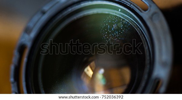 Fungus Haze Inside Dslr Lens Stock Photo Edit Now 752036392